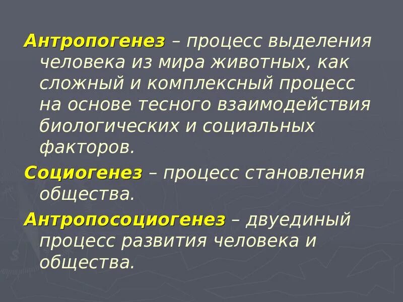 Процессы выделения человека. Происхождение человека и становление общества 10 класс. Общество как процесс. Социогенез факторы.