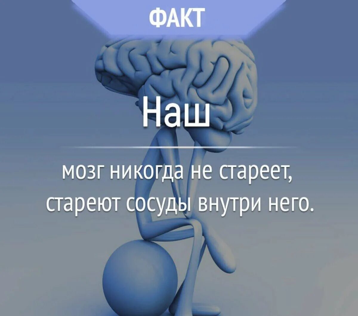 Включи 3 факта. Интересные факты о мозге. Интересные факты о мозге человека. Интересное про мозг. Интересные факты о человеческом мозге.