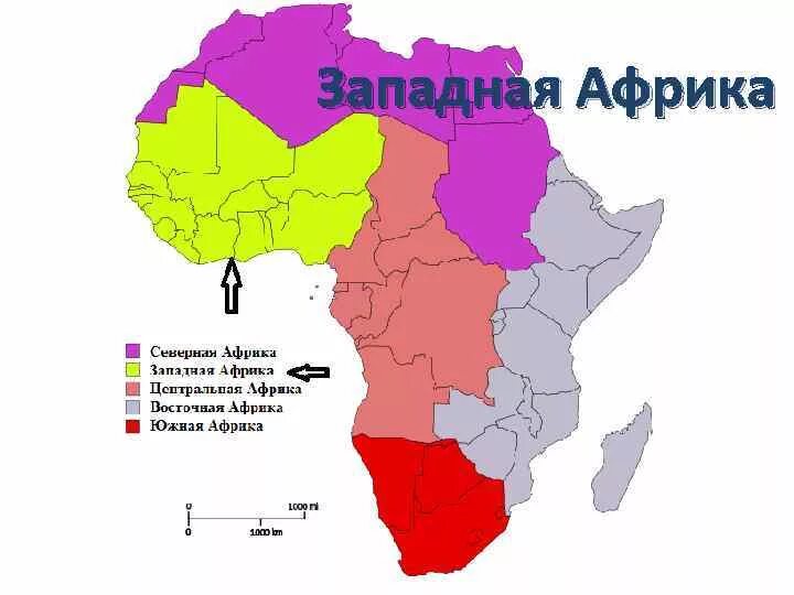 Крупнейшая страна центральной африки. Западная Африка на карте. Страны Западной Африки на карте. Западное побережье Африки на карте. Западный берег Африки на карте.