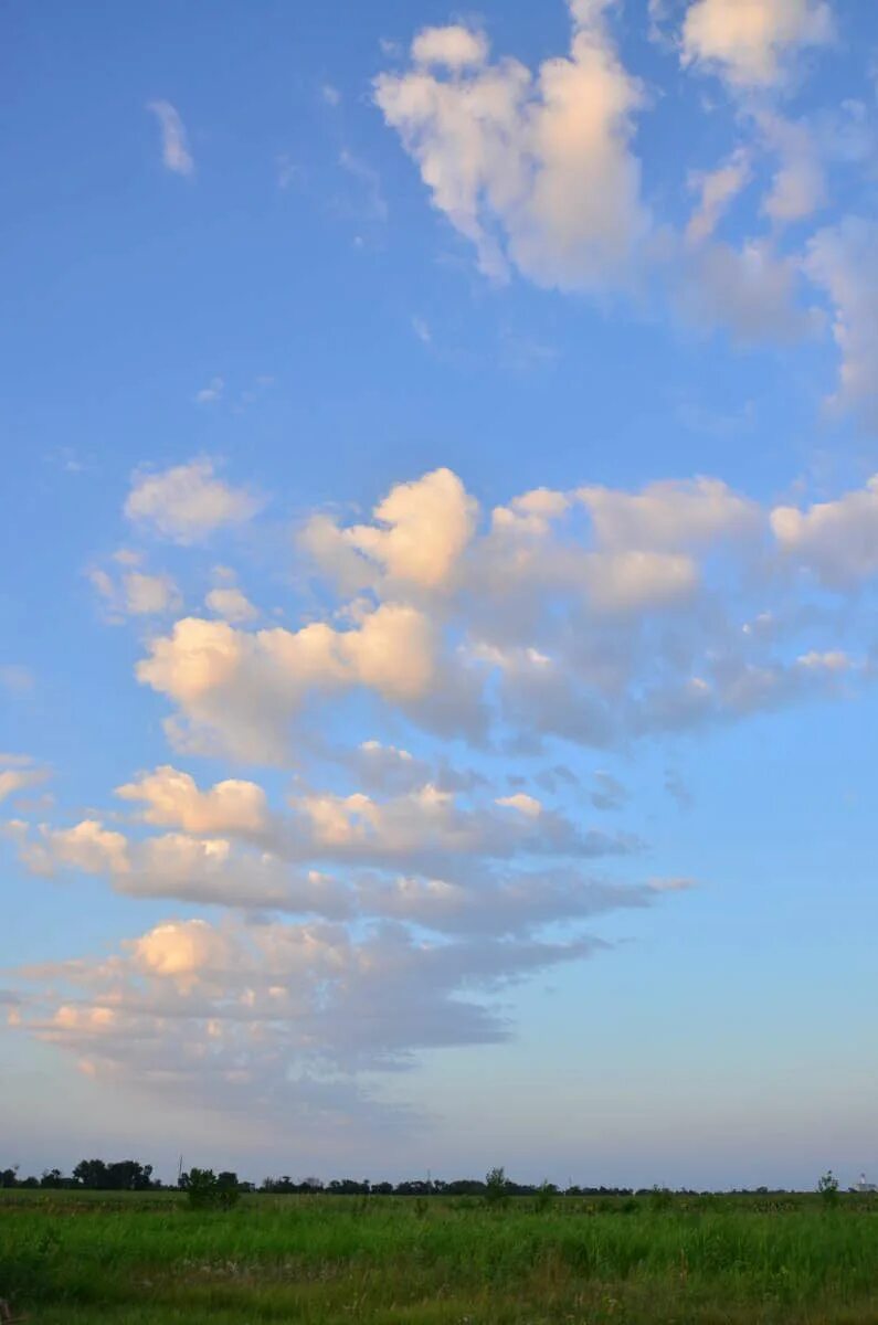 Автор облака плывут облака. Красивые облака. Облака плывут. Облака фото. В небе плыли облака и.