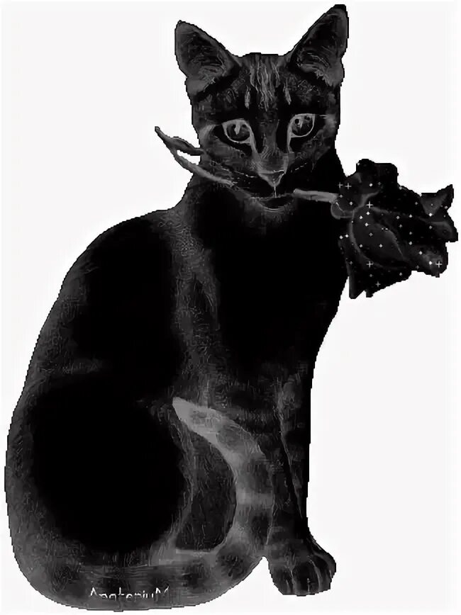 X3d animation black cat