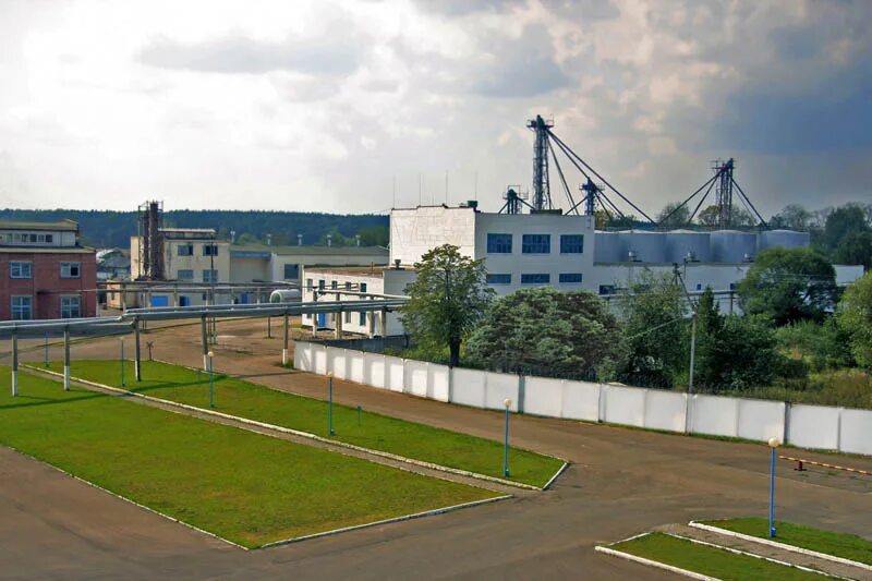 звягинский крахмальный завод. чаплыгинский завод агрегатов. чаплыгинский механический завод логотип.