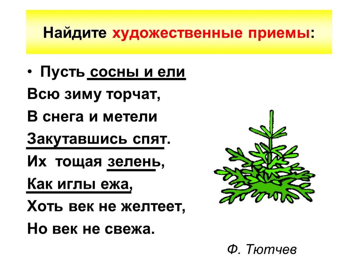 Слово хвойный. Пусть сосны и ели всю зиму торчат в снега и метели. Пусть сосны и ели всю зиму торчат. Стих пусть сосны и ели всю. Стих пусть сосны и ели всю зиму торчат.