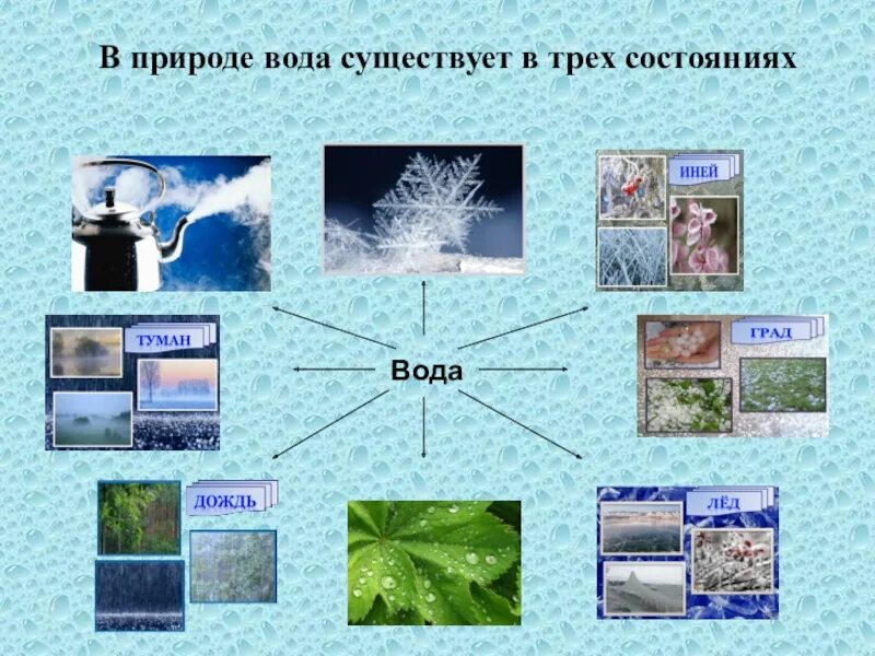 Состояния воды в природе для детей. Вода в природе свойства воды. Вода бывает в трёх состояниях в природе. Состояния воды для дошкольников. Примеры состояния воды