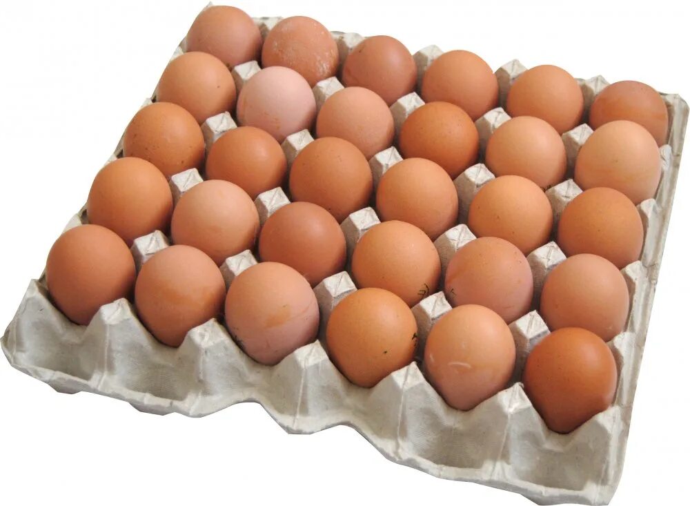 360 0 2. Яі ЦО куриное 2 категории (ячейка 30 шт). Яйцо куриное с2 ячейка 30 шт. Яйцо куриное 2 категории (ячейка 30 шт). Яйцо куриное с-1, 30шт.