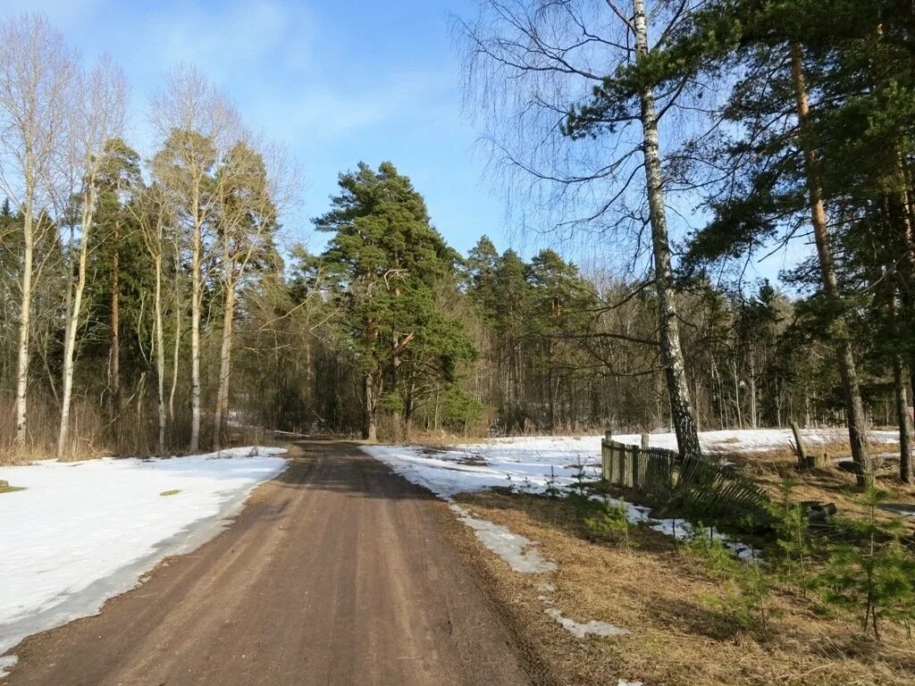 Плодовое Приозерский район. Поселок плодовое. П плодовое Приозерский район Ленинградская область. Поселок плодовое пляж.