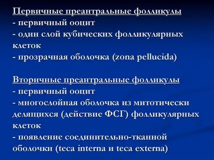 Антральные фолликулы что это