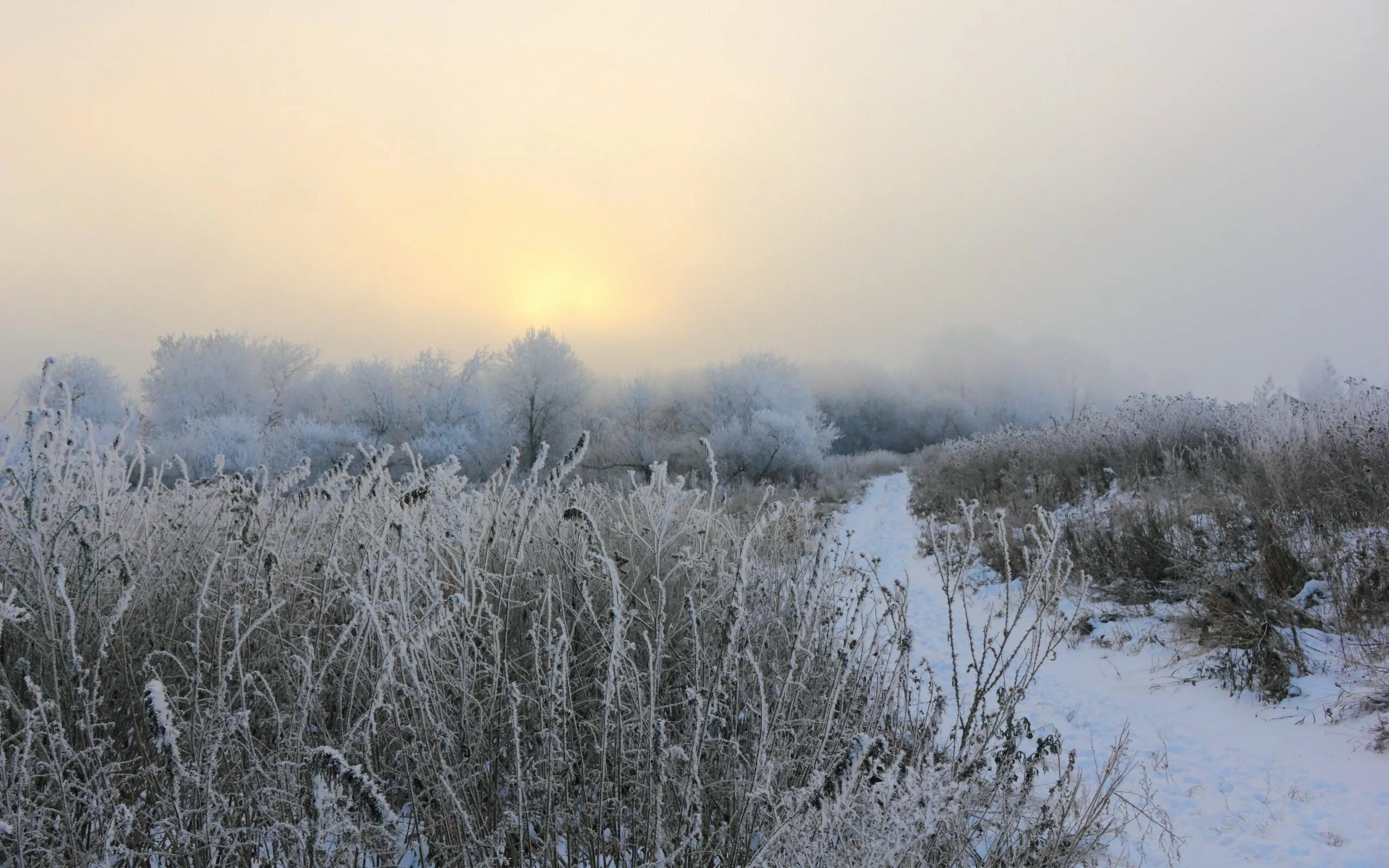 снежное поле. снег поле. Winter fields. зимнее поле. снежная равнина.