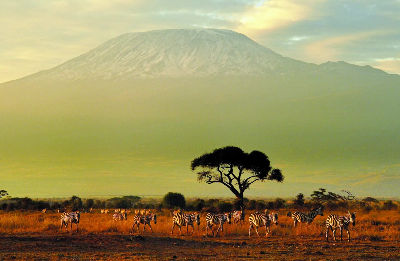 Африка обобщение. Парк Амбосели Кения. Амбосели национальный парк Африки. Танзания сафари Килиманджаро. Заповедник Амбосели Кения.