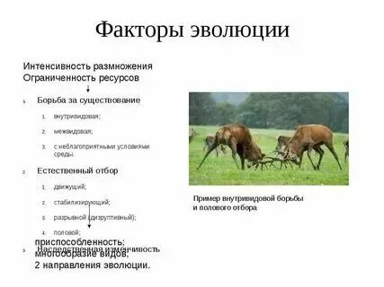 623 межвидовой региональный. 623 межвидовой региональный. 623 межвидовой региональный. Ульяновск учебный центр войск связи 623. Межвидовая борьба паразитизм.