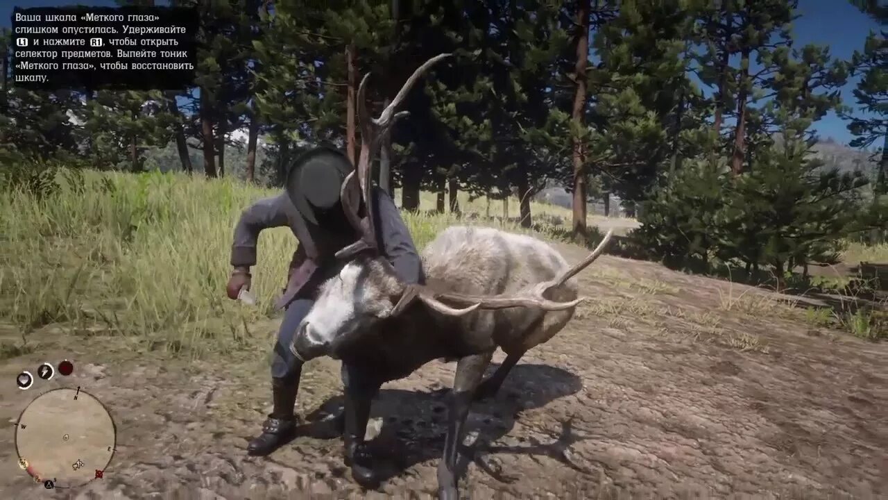 Легендарный олень в рдр. Легендарный олень Red Dead. Превосходная шкура олень вапити rdr 2. Легендарный вапити rdr2. Легендарный олень вапити в РДР.