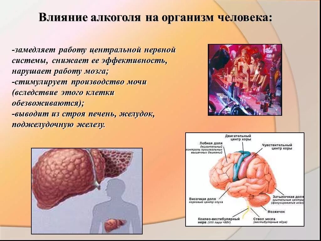 Влияние спиртов на организм