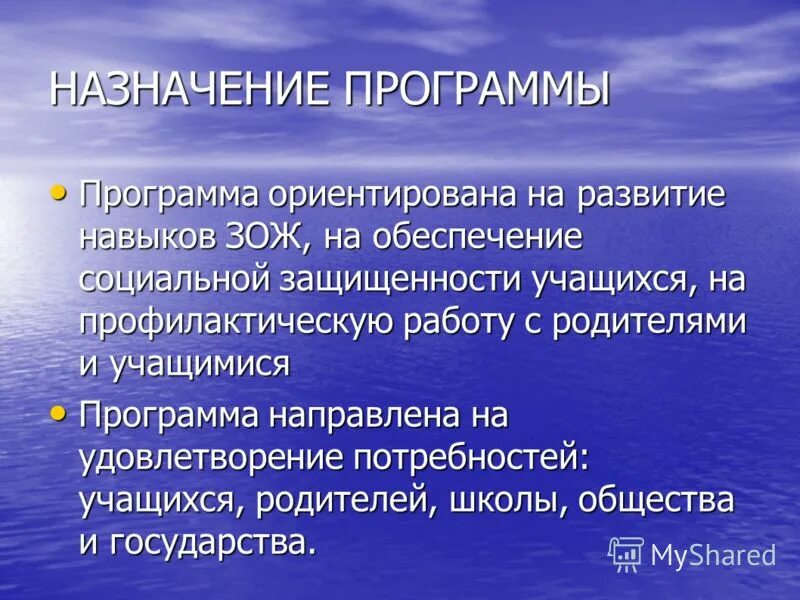 Назначение приложения. Назначение программы. назначение программ презентаций. назначение утилит. назначение утилита.