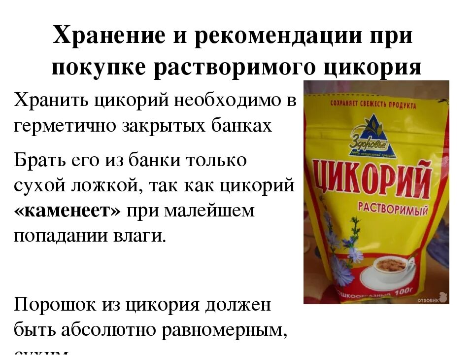 Цикорий. Полезен ли цикорий. Цикорий растворимый польза. Вреден ли цикорий.