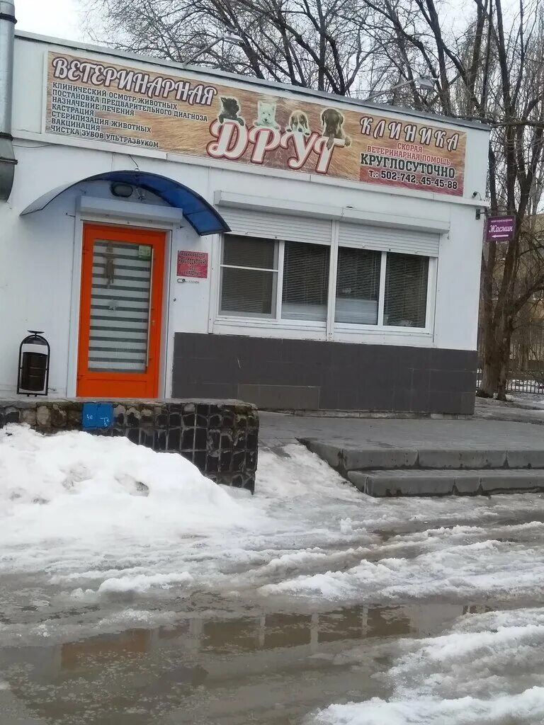 Волгоград ветеринарная круглосуточная. Круглосуточные ветеринарные клиники волгоград. Ветеринар волжский. Ветклиника на волгоградской. Улица быстрова волгоград.
