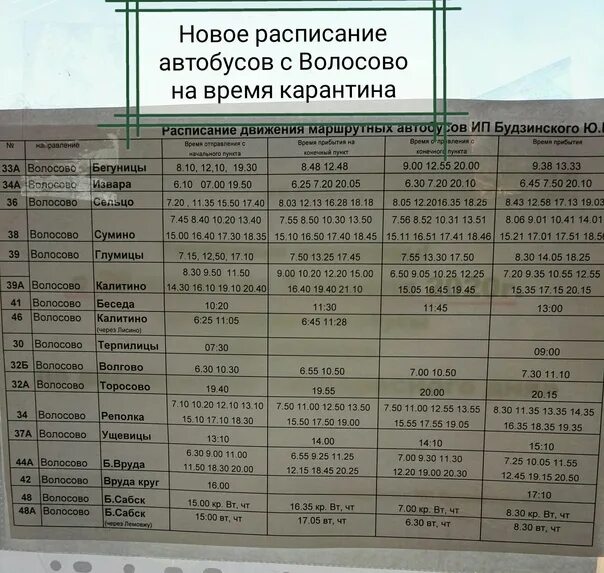 Расписание 39 автобуса нижний. Расписание автобусов Волосово. Расписание автобусов Волосово Волосово. Волосовская расписание автобусов. Расписание автобусов Волосово Калитино.