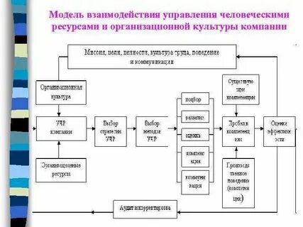 Системы культурного взаимодействия