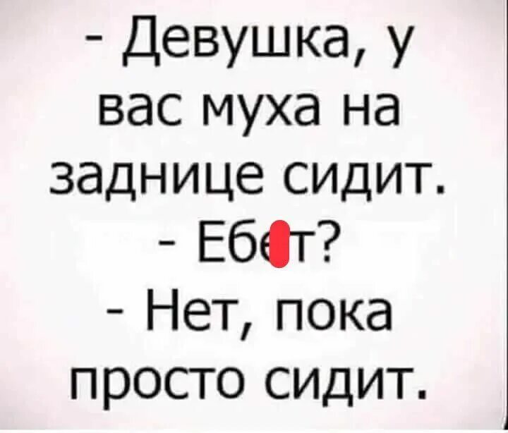 Пока просто сижу. Девушка на вам мух сидит анекдот. Девушка на вас Муха сидит. Девушки на вас мух анекдот. На вам мух сидит.