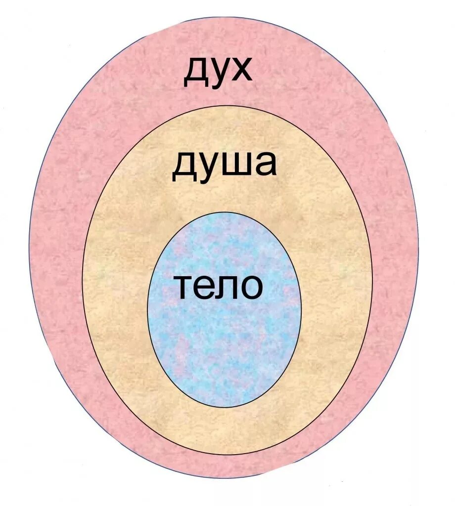 Дух душа и тело схема. Из чего состоит человек дух душа тело. Дух душа и тело в психологии. Дух душа и физическое тело.