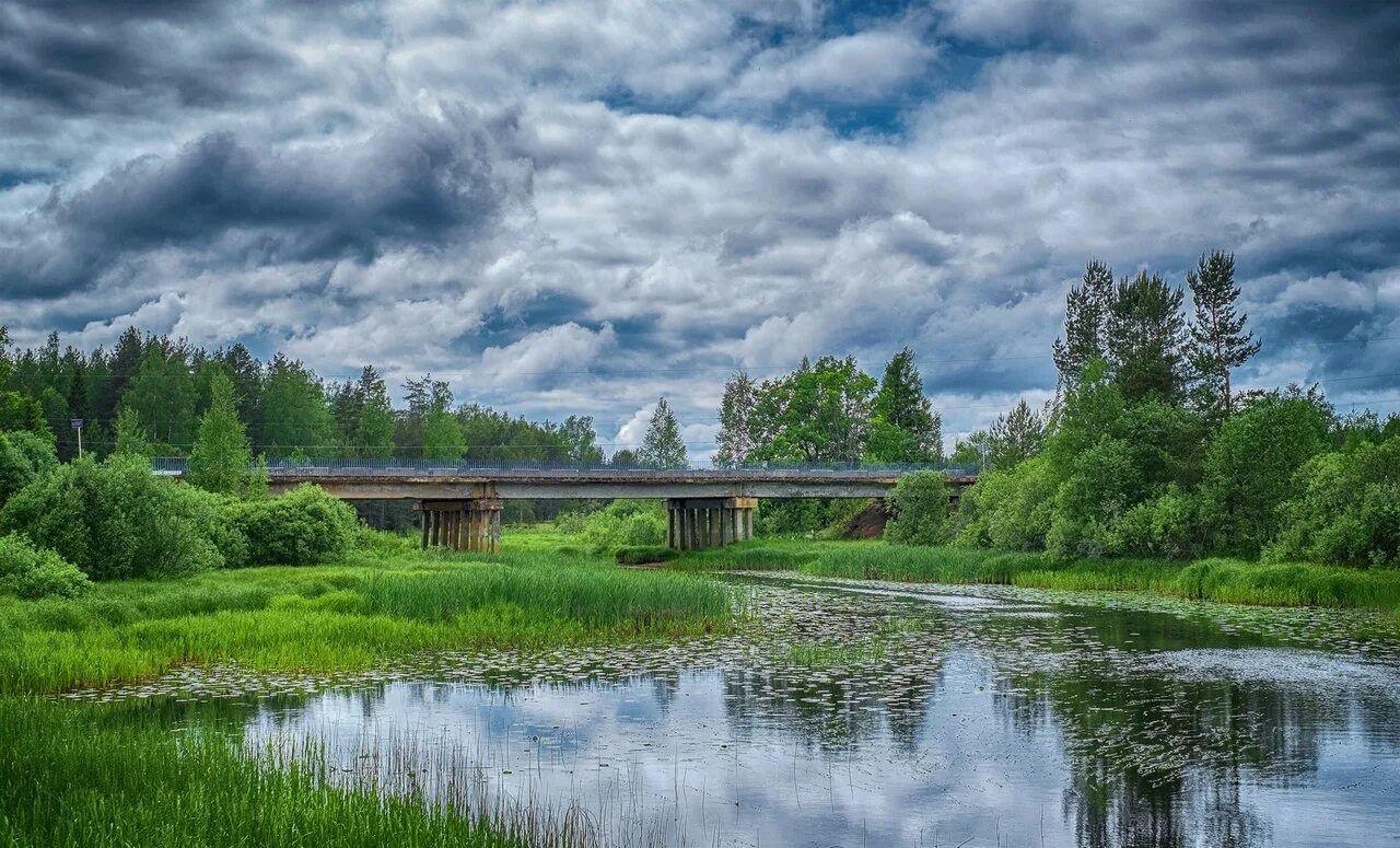 Река двина город. Река Западная Двина в Тверской области. Исток реки Западная Двина. Река Западная Двина Андреаполь. Западная Двина парк.