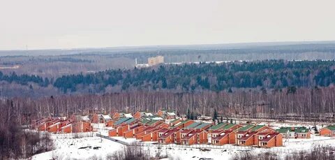 Куркино шаховская
