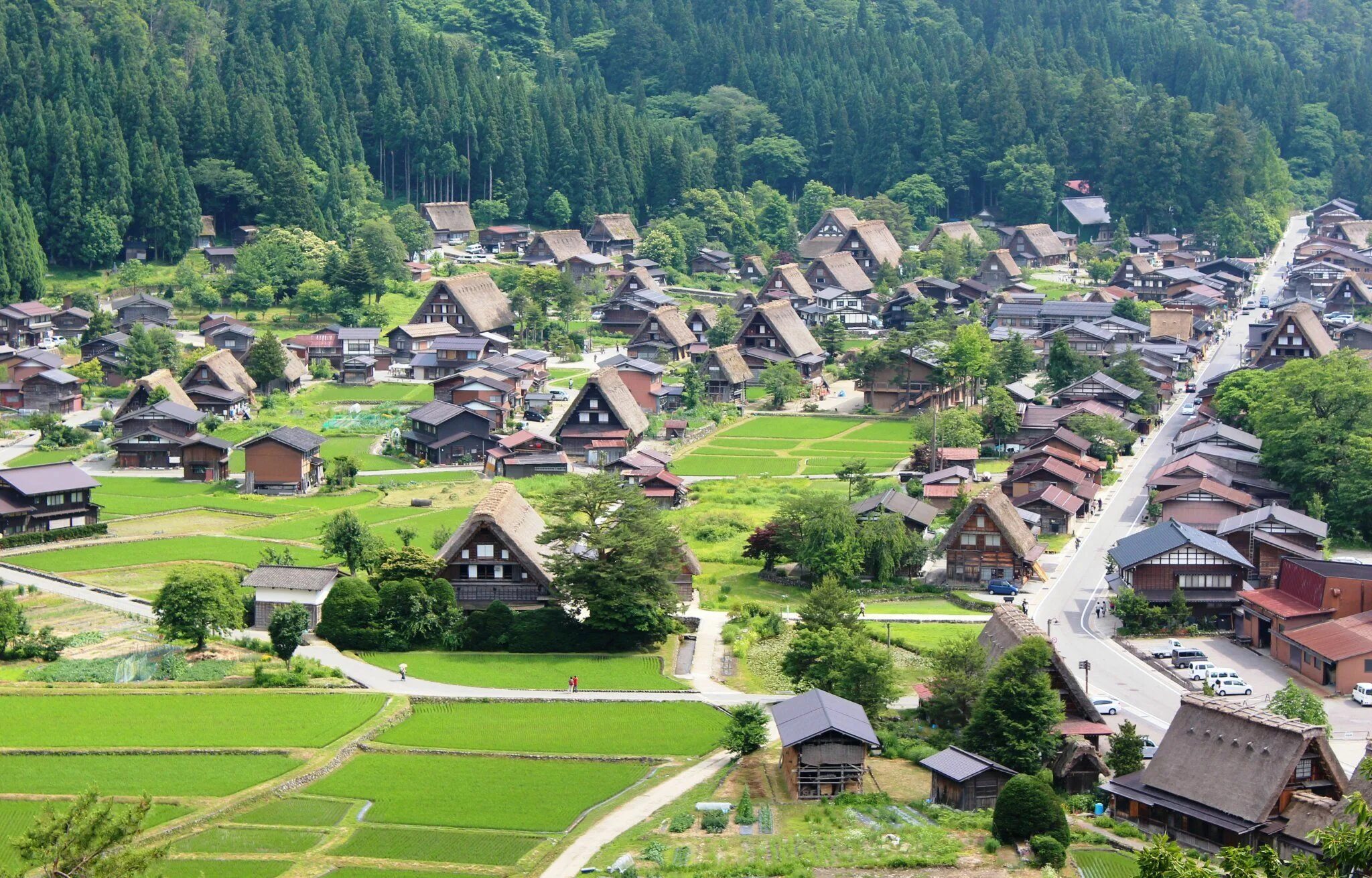 Какая деревня город. Японская деревня Сиракава летом. Деревня Ёнаки Япония. Храм деревни Сиракава. Современная деревня.