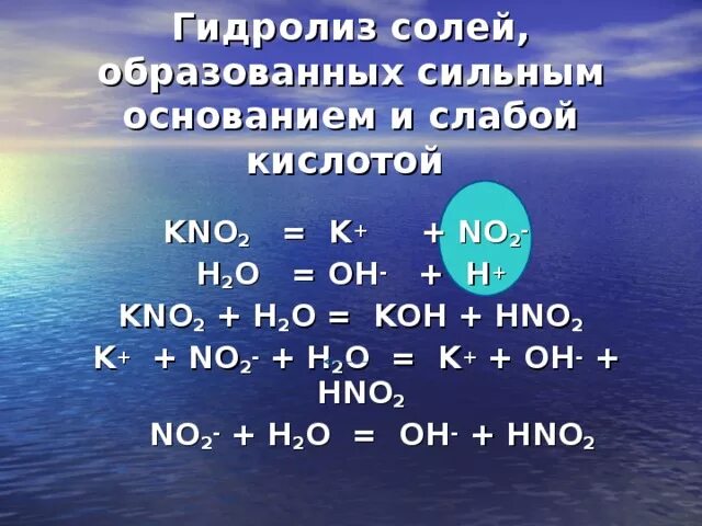 Kno2 гидролиз. Гидролиз солей kno2. Kno2+h2o. Реакция гидролиза kno2. Zn kno3 h2o