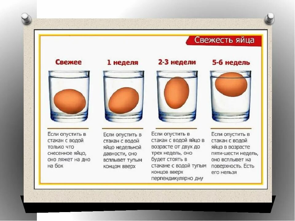 Как проверить яйца на свежесть. Как проверить свежесть Яик. Проверка яиц на свежесть. Каа кроверить яйца на суежеать. Как определить свежесть яиц в домашних