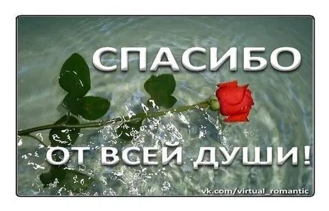 Спасибо сережа