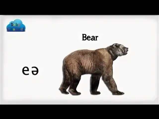 Bear транскрипция английский. Bear транскрипция. Медведь по английскому транскрипция. Bear Bore born транскрипция. Bear как произносится.