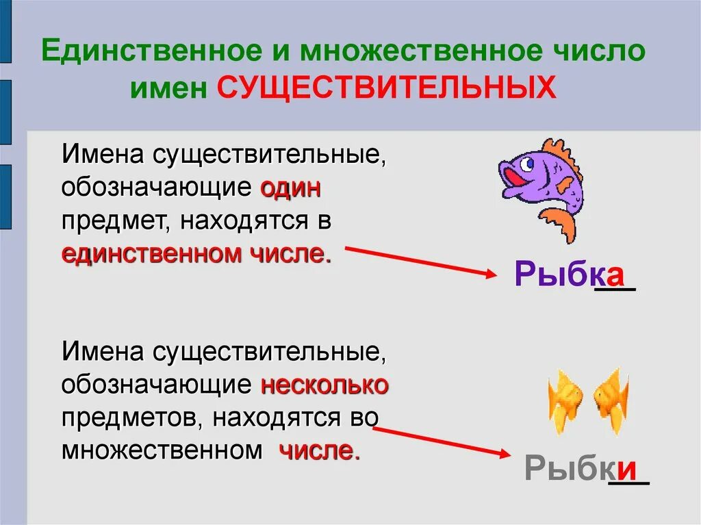Примеры единственного и множественного числа имен существительных. Множественное число имен существительных 3 класс. изменение имен существительных по числам 2 класс правило. имя существительное единственное и множественное число. как определить число имен существительных 5 класс.