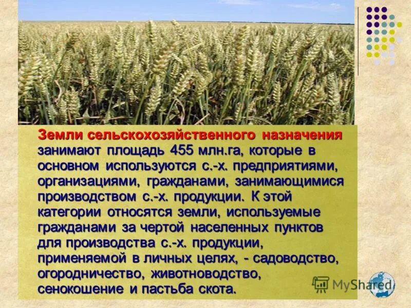 к категории сельскохозяйственных земель относятся. характеристика земель сельскохозяйственного назначения. к категории сельскохозяйственных земель относятся. земли сельскохозяйственного назначения таблица. к категории сельскохозяйственных земель относятся.