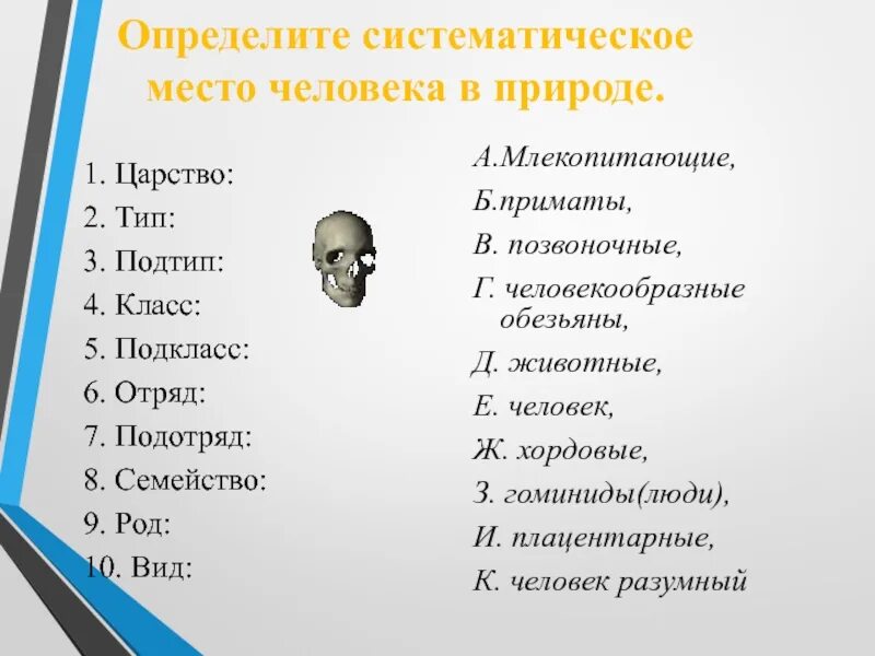 Систематическое место человека в природе. Тип класс подкласс отряд подотряд. Систематическое место человека в природе подкласс. Систематическое положение человека в природе. Определить систематическое положение человека