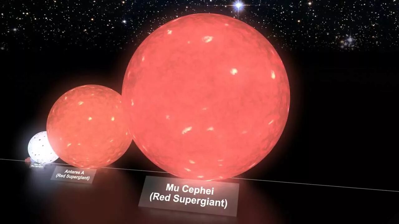 Большой гигант звезда. Проксима Центавра Арктур Бетельгейзе. VV Цефея и vy большого пса. Самая большая звезда.