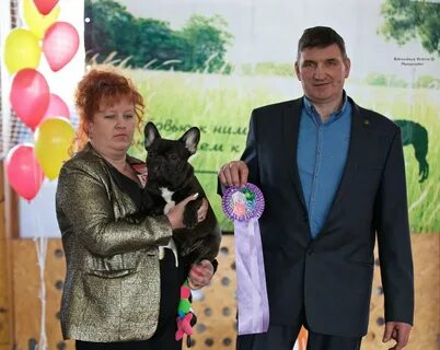 Собак рыбинск