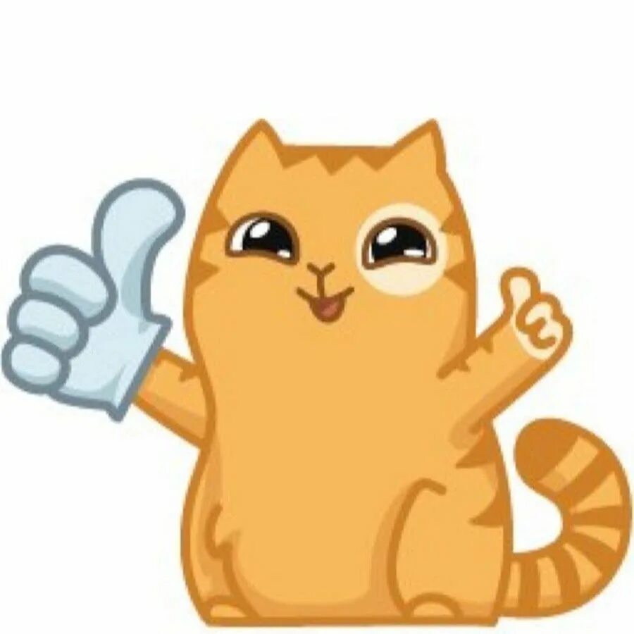 кот показывает класс. котик показывает лайк. кот ок. кот с лайком. кот палец вверх.