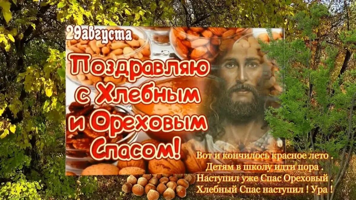 Смотрим программу спас. Телепрограмма спас на неделю. Телепрограмма спас на неделю. Смотрим программу спас. Телепрограмма на сегодня спас на сегодня.