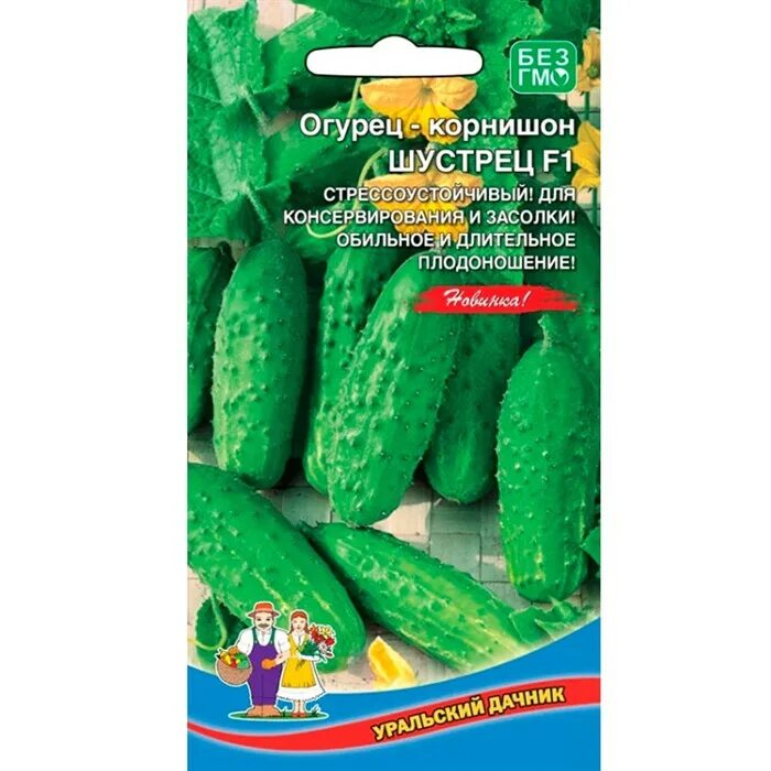 Огурец уральский экспресс f1. Молодец f1. Молодец f1. Молодец f1. Молодец f1.