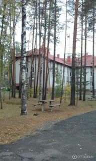 Русский лес владимирская область сайт