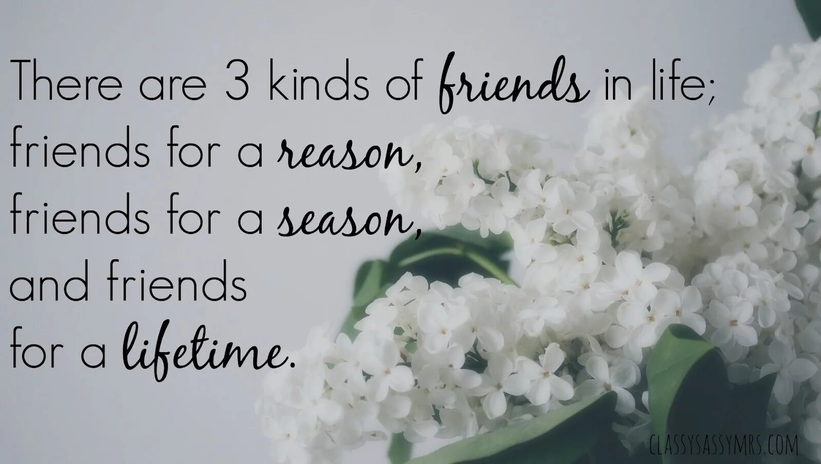 Seasons reasons. A friend for a reason. Friends for a Lifetime. Reason for Life. Sayings about Friendship.
