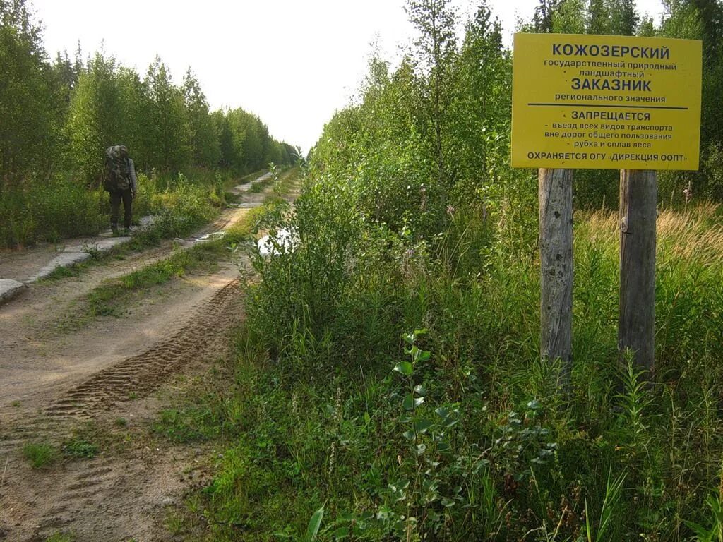 Природный парк регионального значения. Государственные природные заказники. Заказник. Кожозерский государственный природный ландшафтный заказник. ООПТ заказники.