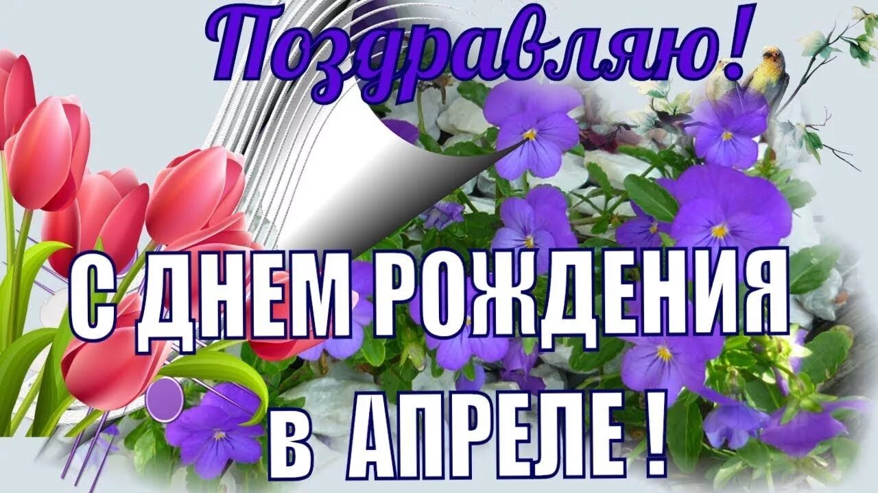 Поздравление родившимся в апреле. Поздравляем в апреле. С днем рождения в апреле. Поздравляем апрельских именинников. Открытки родившимся в апреле.