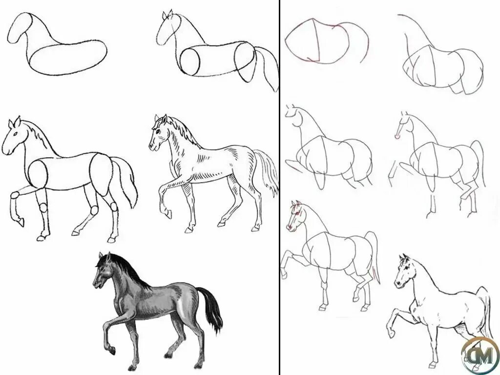 Красивые поэтапные рисунки для начинающих. Поэтапное рисование лошади. Лошадь рисунок карандашом. Лошадь рисунок пошагово. Лошадь рисунок карандашом поэтапно.