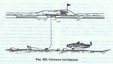Длина уды