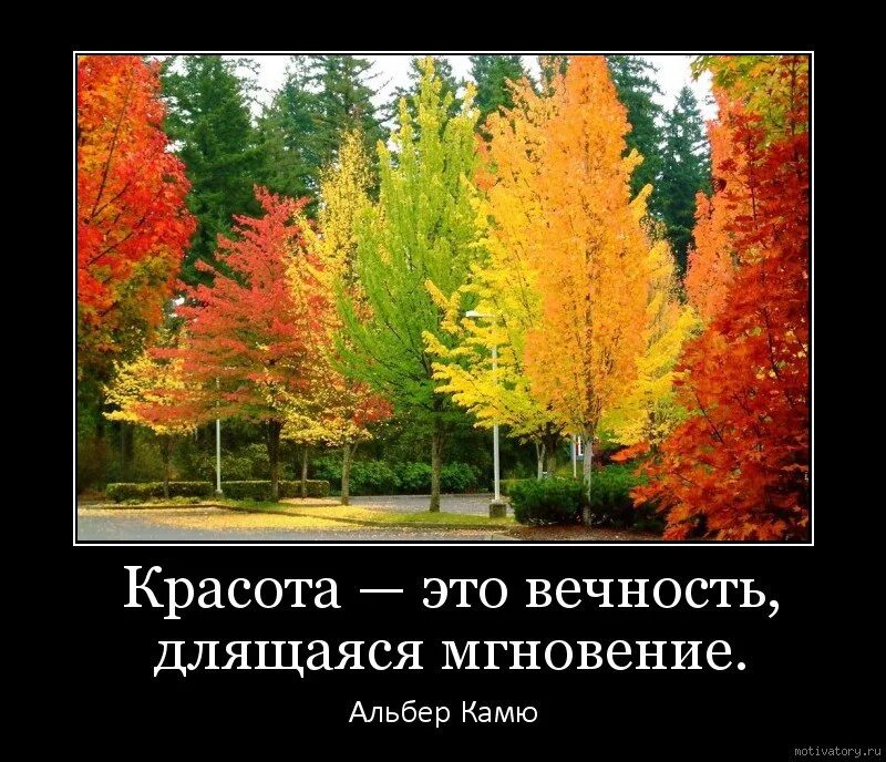 Высказывания о красоте природы. Красота осени. Демотиваторы про осень. Осенние краски природы цитаты. Сколько длится мгновение почему