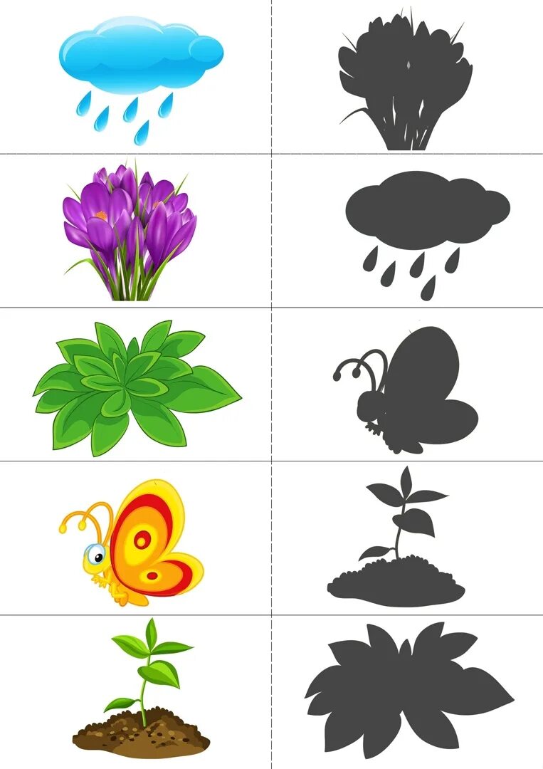 Теневое лото для малышей. Цветы задания для детей. Весенние задания для дошкольников. Цветы задания для малышей. Про цветы для детей 5 лет