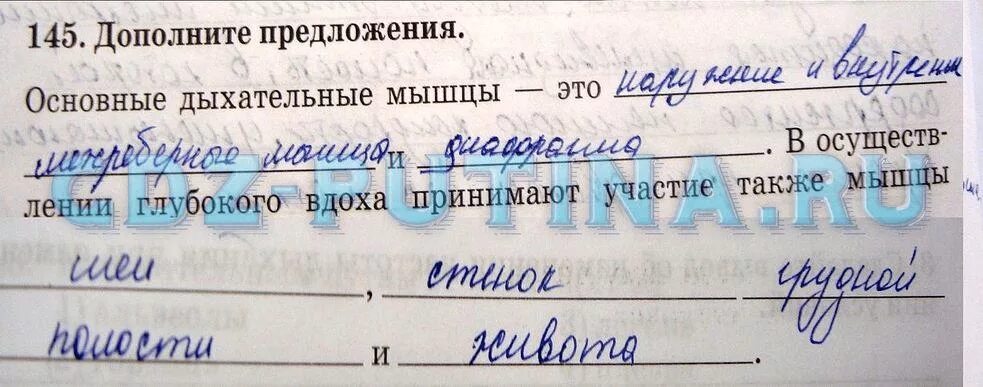 Дополните предложение биология 8 класс. Дополните предложения основные дыхательные мышцы это. биология 8 класс рабочая тетрадь сонин гдз. дополните предложение биология 8 класс 69 страница. биология 8 класс рабочая тетрадь группа крови график.