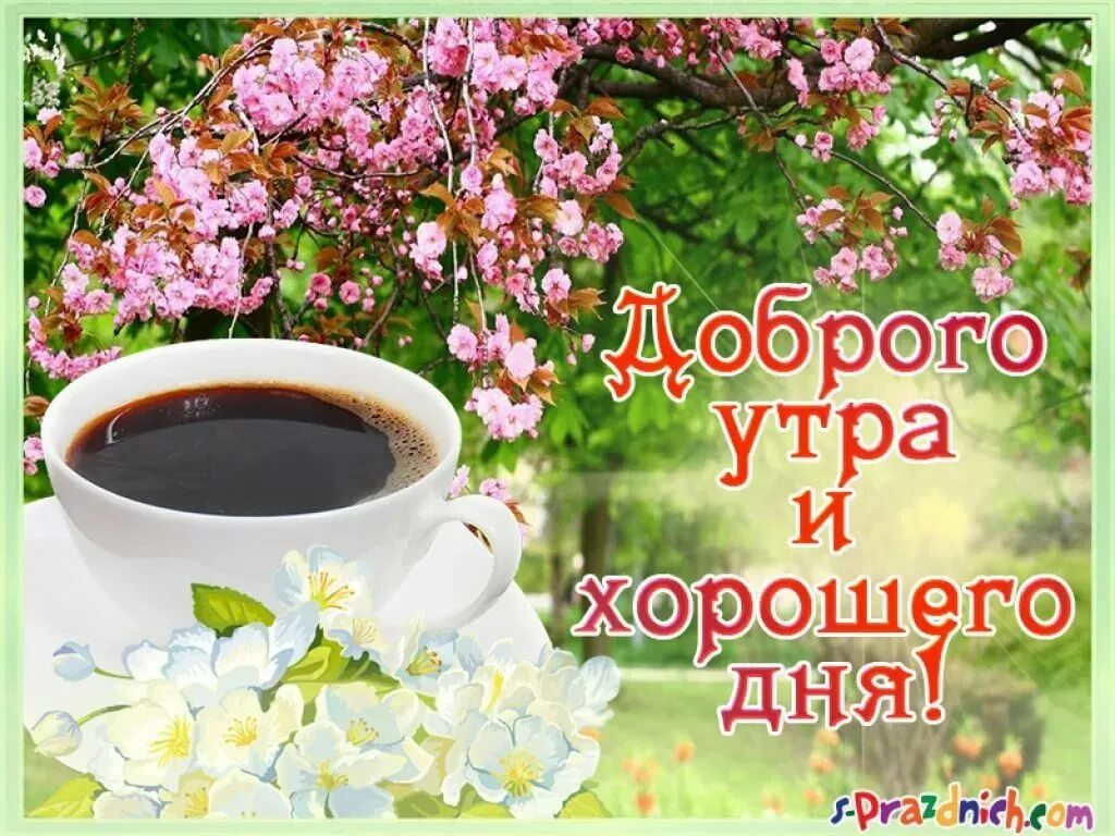 Открытки с днем утра и хорошего дня