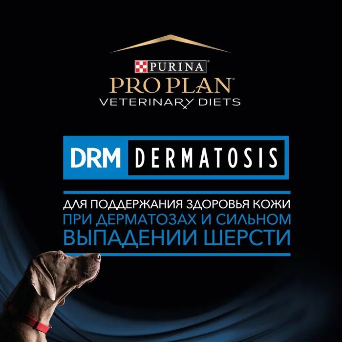 Пурина дерматозис для собак. Pro plan veterinary diets для собак. Про план дерматозис для собак. Пурина дерматозис корм отзывы. Pro plan veterinary diets en для собак.