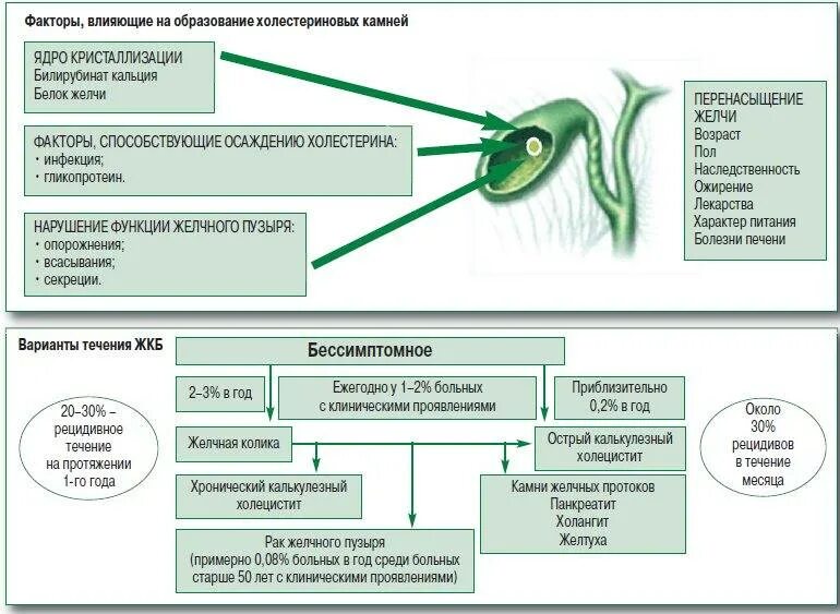 Хронические заболевания холецистит. Хронический холецистит схема терапии. Хронический калькулезный холецистит клинические рекомендации 2022. Хронический холецистит причины факторы. Калькулезный холецистит патогенез камнеобразования.